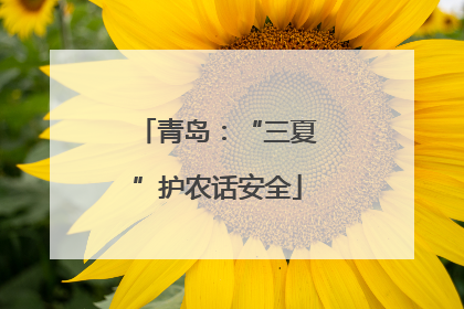 青岛：“三夏”护农话安全