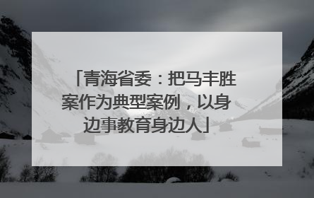 青海省委：把马丰胜案作为典型案例，以身边事教育身边人