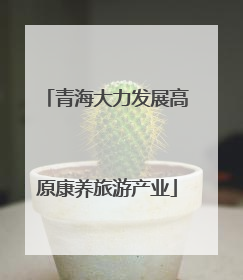 青海大力发展高原康养旅游产业