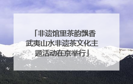 非遗馆里茶韵飘香 武夷山水非遗茶文化主题活动在京举行
