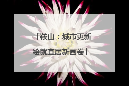 鞍山：城市更新绘就宜居新画卷