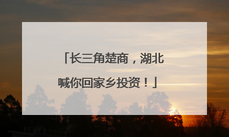 长三角楚商，湖北喊你回家乡投资！