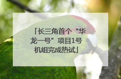 长三角首个“华龙一号”项目1号机组完成热试