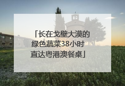长在戈壁大漠的绿色蔬菜38小时直达粤港澳餐桌