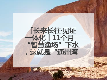 长来长往·见证一体化丨11个月“智慧渔场”下水，这就是“通州湾速度”！
