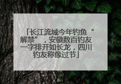 长江流域今年钓鱼“解禁”，安徽数百钓友一字排开如长龙，四川钓友称像过节