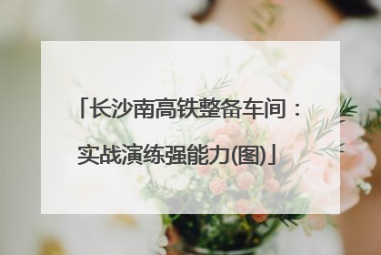 长沙南高铁整备车间：实战演练强能力(图)