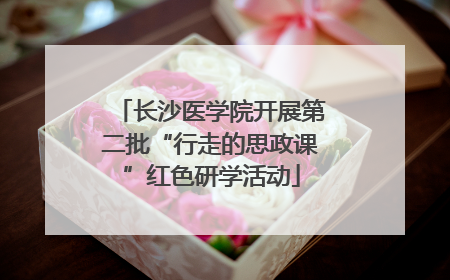 长沙医学院开展第二批“行走的思政课”红色研学活动