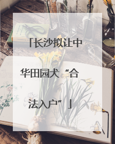 长沙拟让中华田园犬“合法入户”