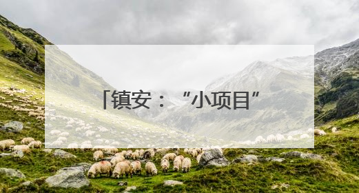 镇安：“小项目”撬动“大民生”