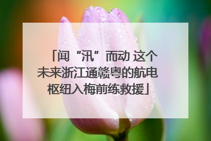 闻“汛”而动 这个未来浙江通赣粤的航电枢纽入梅前练救援