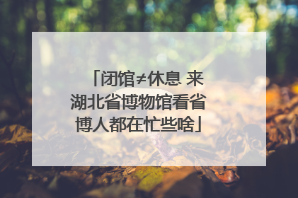 闭馆≠休息 来湖北省博物馆看省博人都在忙些啥
