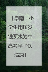 阜南一小学生用压岁钱买水为中高考学子送清凉