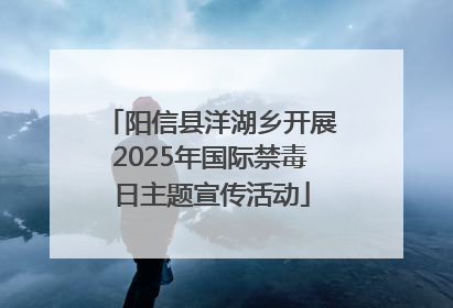 阳信县洋湖乡开展2025年国际禁毒日主题宣传活动