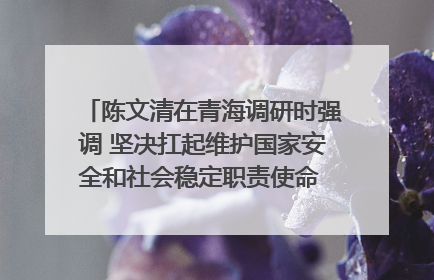 陈文清在青海调研时强调 坚决扛起维护国家安全和社会稳定职责使命 为谱写中国式现代化青海篇章贡献政法力量