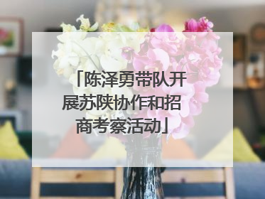 陈泽勇带队开展苏陕协作和招商考察活动