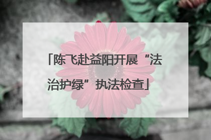 陈飞赴益阳开展“法治护绿”执法检查