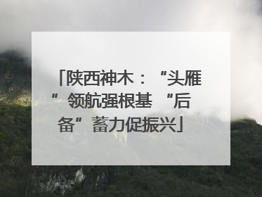 陕西神木：“头雁”领航强根基 “后备”蓄力促振兴