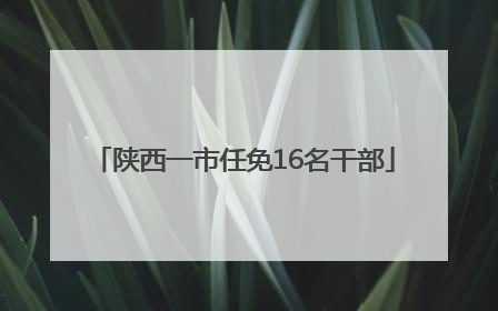 陕西一市任免16名干部
