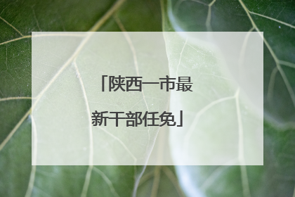 陕西一市最新干部任免