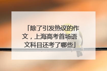 除了引发热议的作文，上海高考首场语文科目还考了哪些