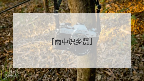 雨中识乡贤