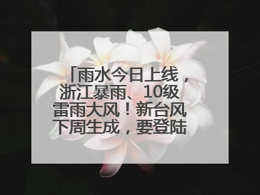 雨水今日上线，浙江暴雨、10级雷雨大风！新台风下周生成，要登陆浙江？