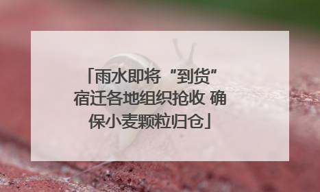 雨水即将“到货” 宿迁各地组织抢收 确保小麦颗粒归仓