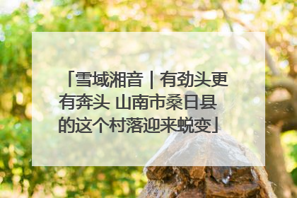 雪域湘音｜有劲头更有奔头 山南市桑日县的这个村落迎来蜕变
