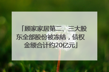 顾家家居第二、三大股东全部股份被冻结，债权金额合计约20亿元
