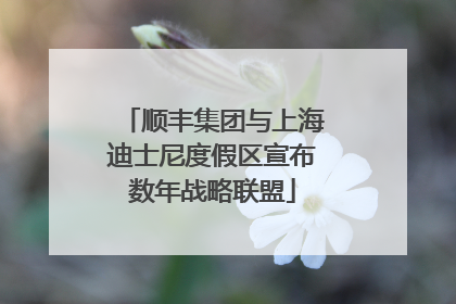 顺丰集团与上海迪士尼度假区宣布数年战略联盟