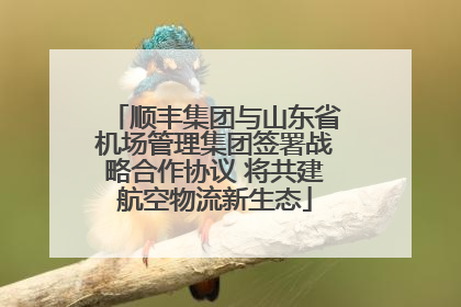 顺丰集团与山东省机场管理集团签署战略合作协议 将共建航空物流新生态