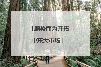 顺势而为开拓中东大市场