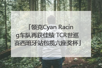 领克Cyan Racing车队再获佳绩 TCR世巡赛西班牙站包揽六座奖杯