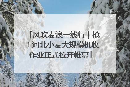 风吹麦浪一线行｜抢！河北小麦大规模机收作业正式拉开帷幕