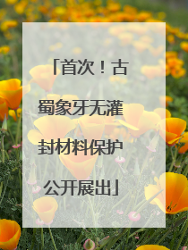 首次！古蜀象牙无灌封材料保护公开展出