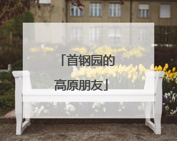 首钢园的高原朋友