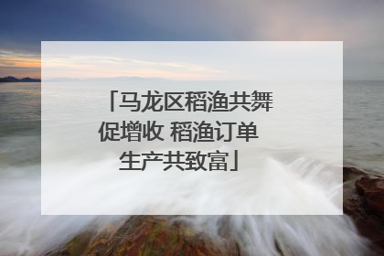 马龙区稻渔共舞促增收 稻渔订单生产共致富