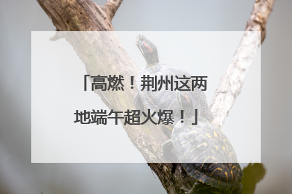 高燃！荆州这两地端午超火爆！
