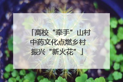 高校“牵手”山村 中药文化点燃乡村振兴“新火花”