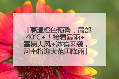 高温橙色预警，局部40℃+！接着暴雨+雷暴大风+冰雹来袭，河南将迎大范围降雨