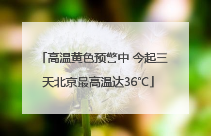 高温黄色预警中 今起三天北京最高温达36℃