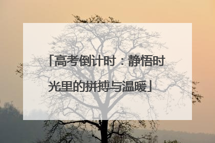 高考倒计时：静悟时光里的拼搏与温暖