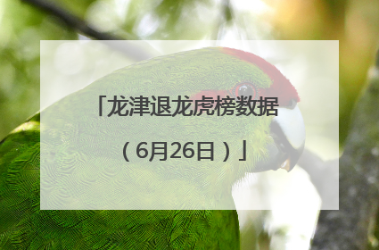 龙津退龙虎榜数据（6月26日）