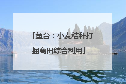 鱼台：小麦秸秆打捆离田综合利用