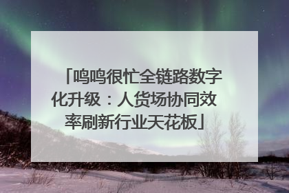 鸣鸣很忙全链路数字化升级：人货场协同效率刷新行业天花板