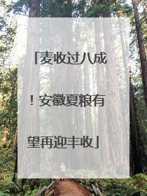 麦收过八成！安徽夏粮有望再迎丰收