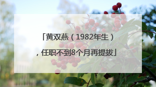 黄双燕（1982年生），任职不到8个月再提拔
