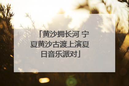 黄沙拥长河 宁夏黄沙古渡上演夏日音乐派对