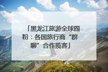 黑龙江旅游全球圈粉：各国旅行商“群聊”合作揽客